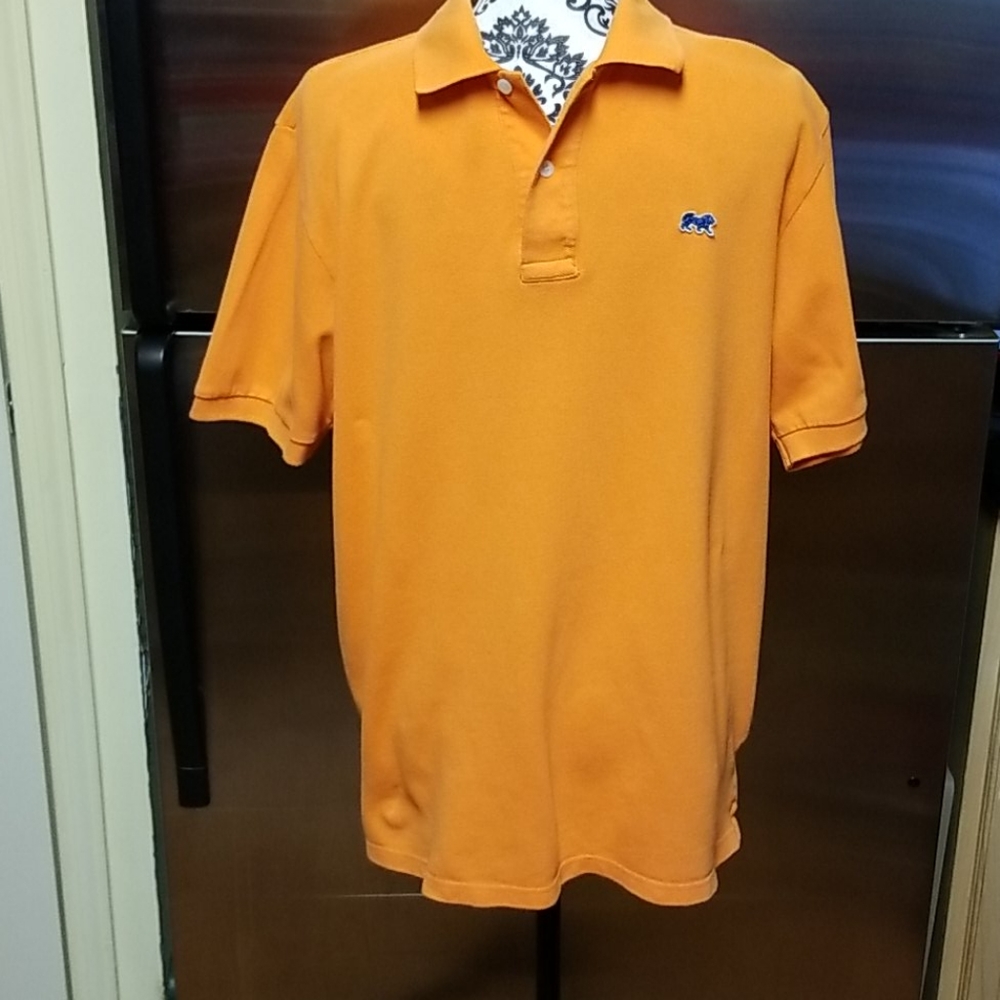 Lion Polo